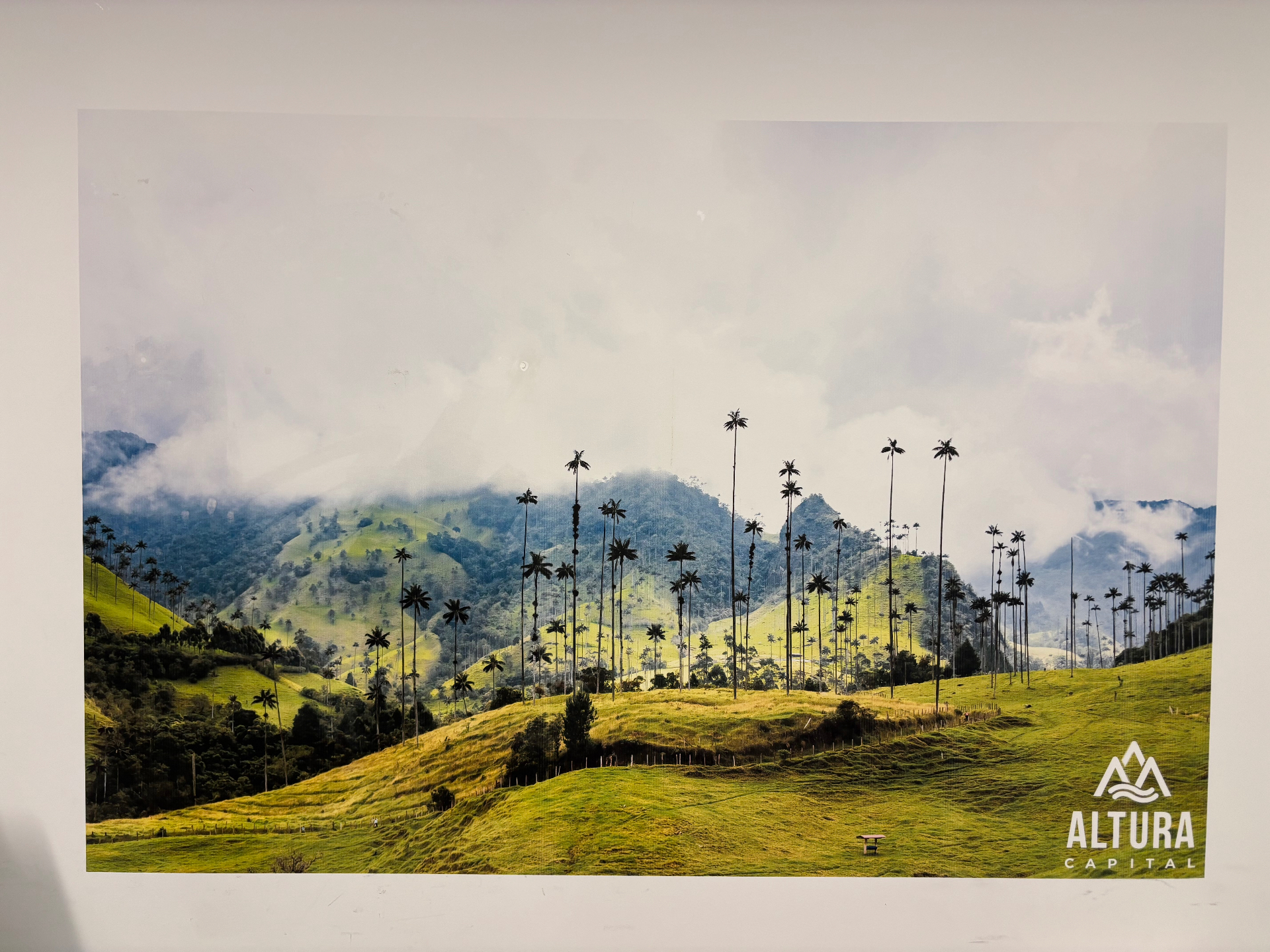Altura Capital Lobby — Custom Landscape printed by DreamWall Studio