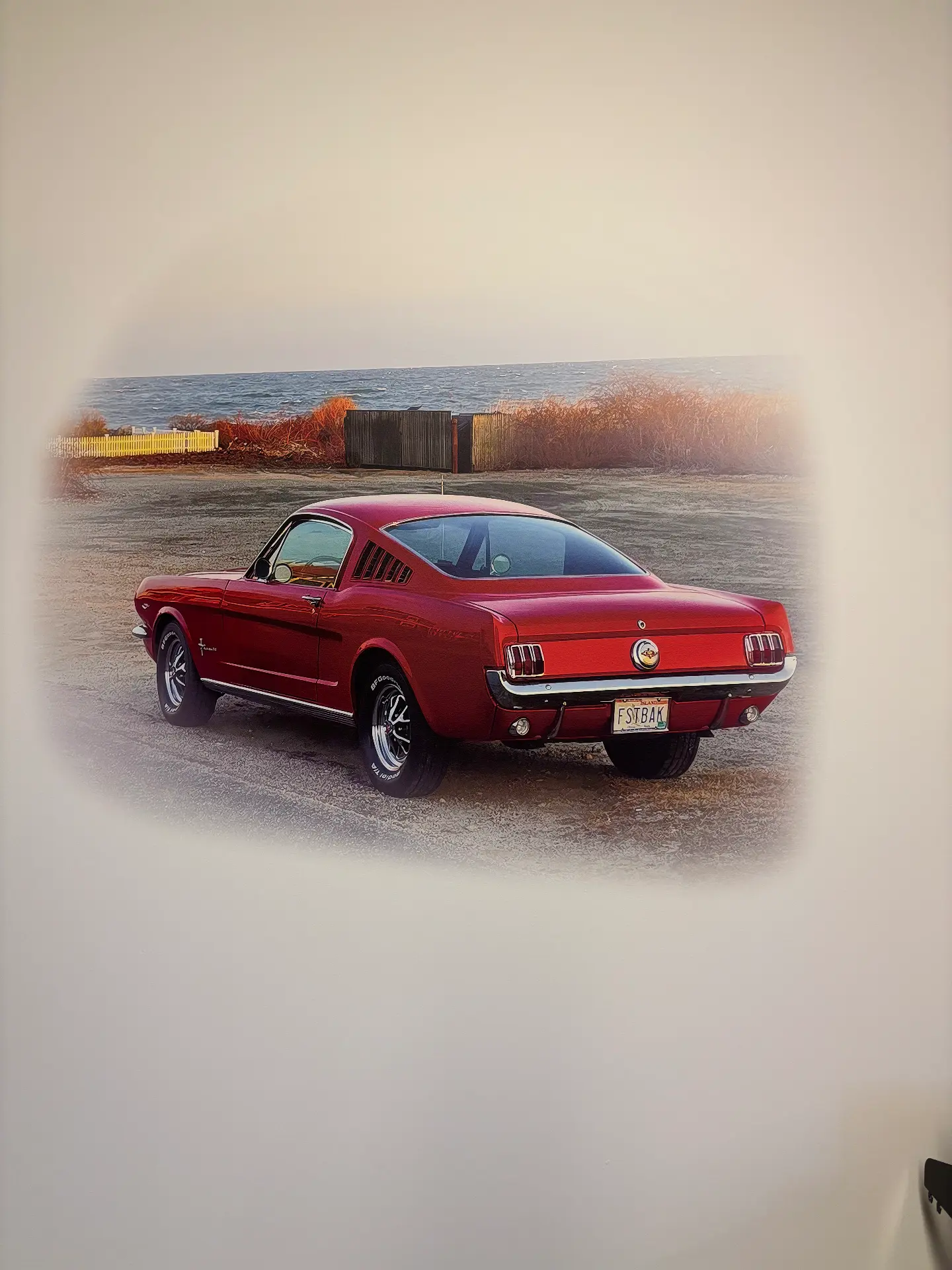 Classic Mustang — Vignette Feature Wall printed by DreamWall Studio
